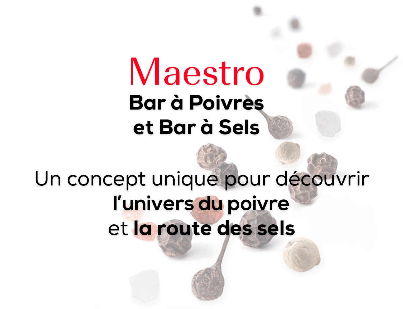 bar_a_poivre_et_bar_a_sel