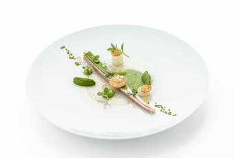 Anguille dans le vert