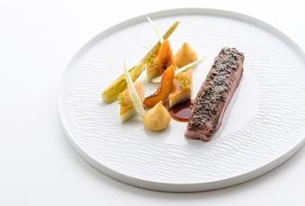 Apiscius duck breast recipe with fennel and apricot