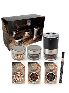 Maestro - Peugeot Saveurs