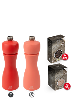 Pack Tahiti Feu - Peugeot Saveurs